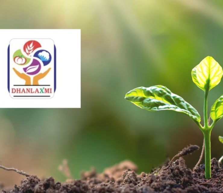 Dhanlaxmi Crop Science Shares Soar: 5% Upper Circuit Achieved After 90% Premium IPO Listing