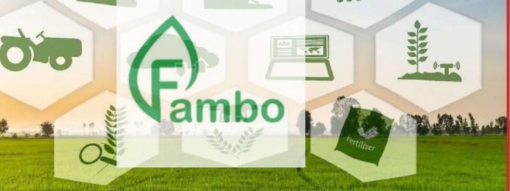 The Startups News - Can Fambo Revolutionize India’s Food Supply Chains?-The Startups News Panels