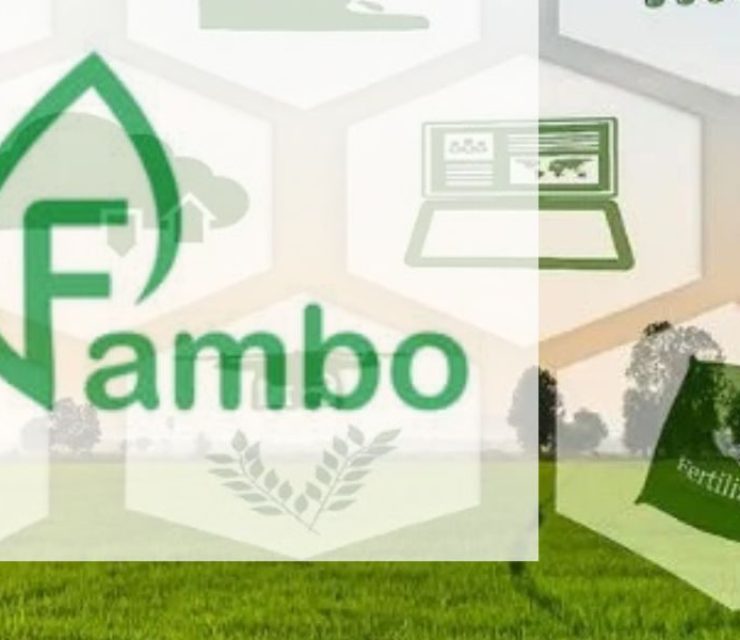 Can Fambo Revolutionize India’s Food Supply Chains?