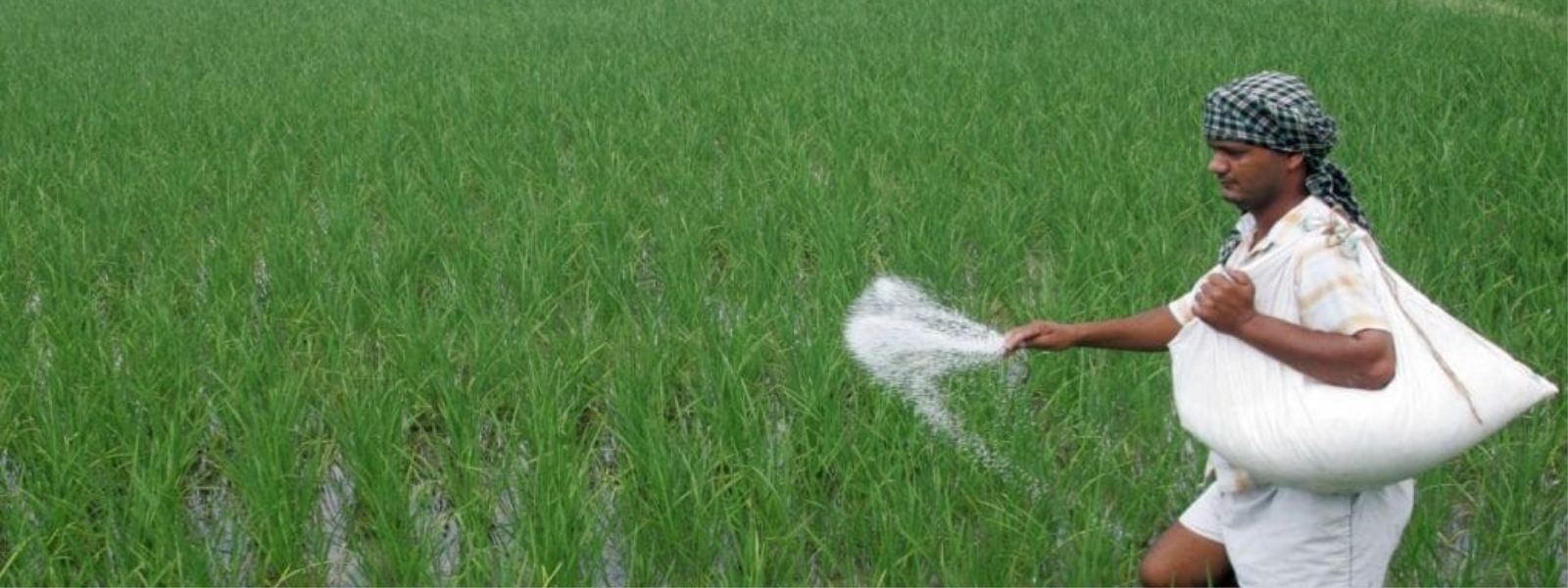 Water-soluble fertilizers now affordable, made in India!