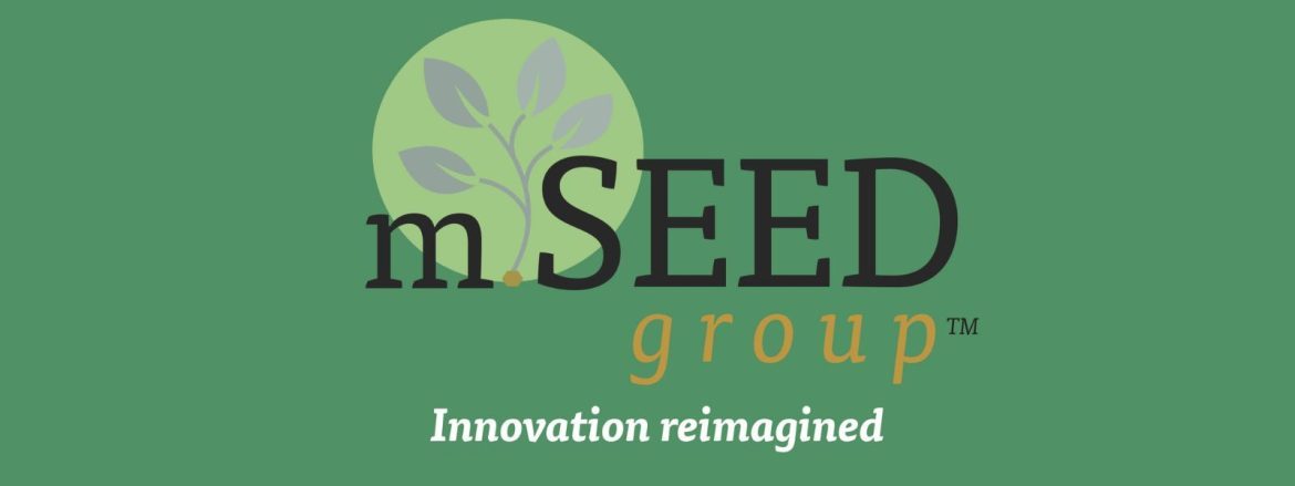 the startups news-MSEED Launches to Develop Creative Leaders in Events & Design-MSEED