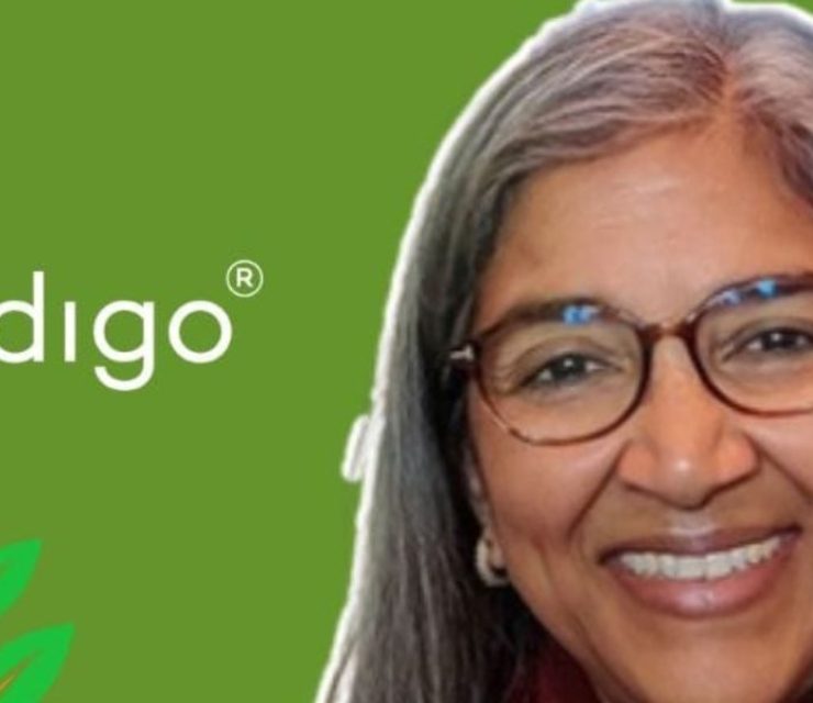 Grow Indigo secures $10M fund to boost carbon farming in India