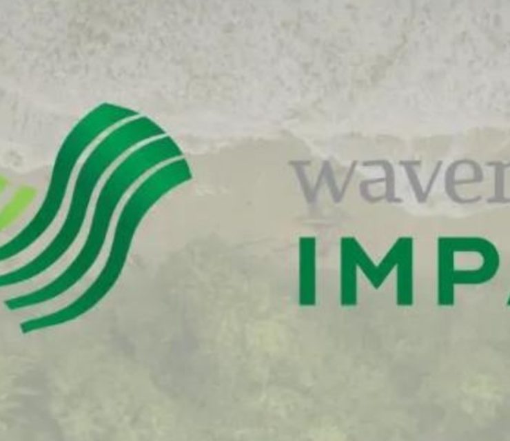 Wavemaker Impact invests $500K in Nūl to fight overproduction