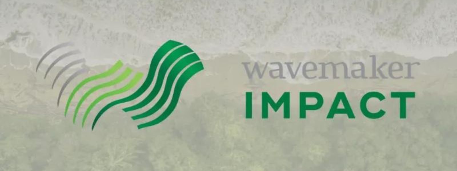 Wavemaker Impact invests $500K in Nūl to fight overproduction