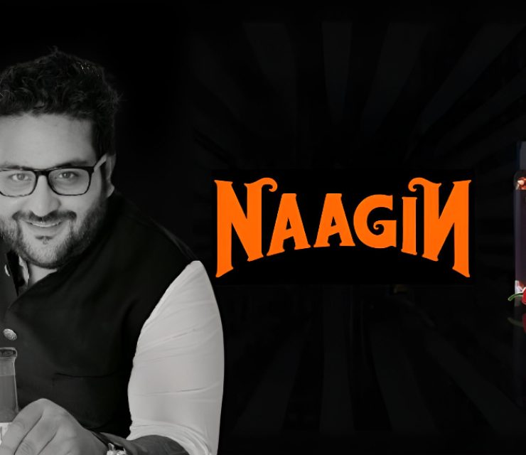 Naagin Raises Rs 18 Crore in Pre-Series A Funding