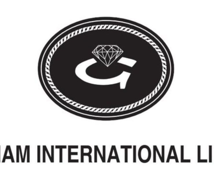 Diamond Jewellery Firm Goldiam Raises ₹202 Crore via QIP