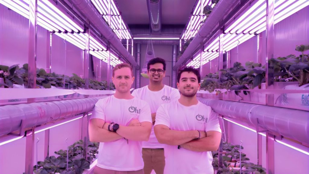 Foundlanes - Fragaria Fruits Funding - Vertical Farming