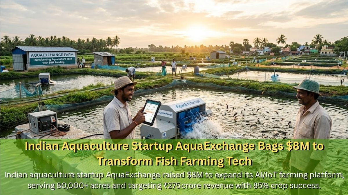Indian Aquaculture Startup AquaExchange Bags $8M to Transform Fish Farming Tech